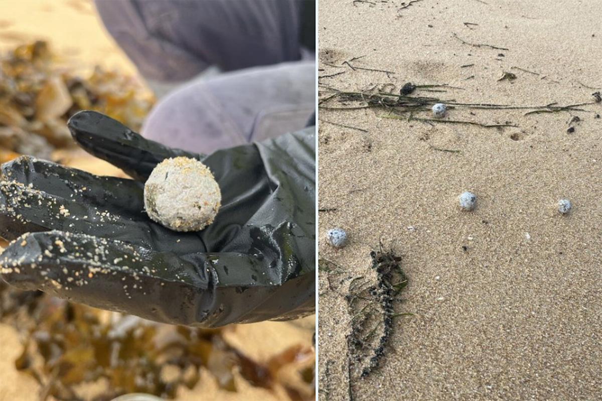 Таинственные шары снова появились на австралийских пляжах