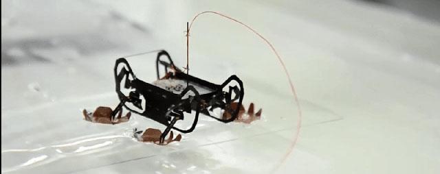 Гарвардские ученые создали нового робота-таракана