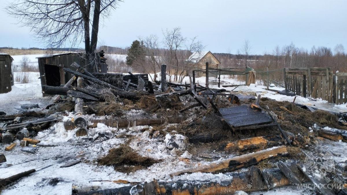 В Марий-Эл сгорело хозяйство вместе с домашними животными