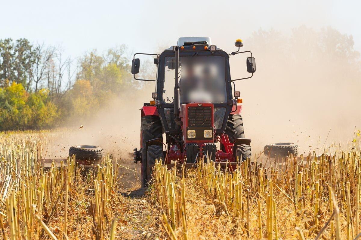 В Воронежской области планируют получить почти 6 млн тонн зерна