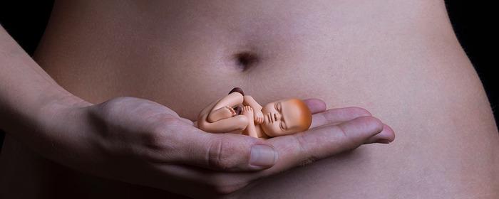 РПЦ внесла предложение по снижению порога прерывания беременности в Новосибирске