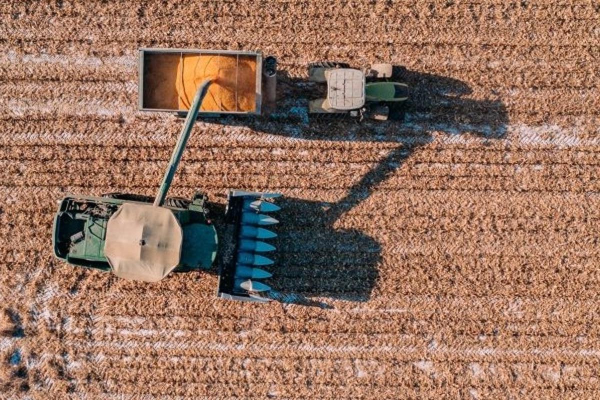 Молодым специалистам АПК в Севастополе выплатят по 250 000 рублей