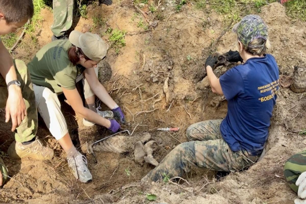 Вологодским поисковикам удалось обнаружить и поднять останки 189 советских солдат и командиров