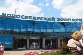 Новосибирский зоопарк повысил цены на вход на 30% из-за удорожания кормов, лекарств и услуг ветеринаров