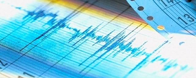 У берегов Камчатки зафиксировали землетрясение магнитудой 4,6