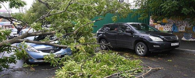 Тайфун «Хайшен» ударит по Приморью раньше предполагаемого срока