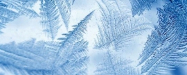 В Новосибирске 20 января похолодает до -24 градусов