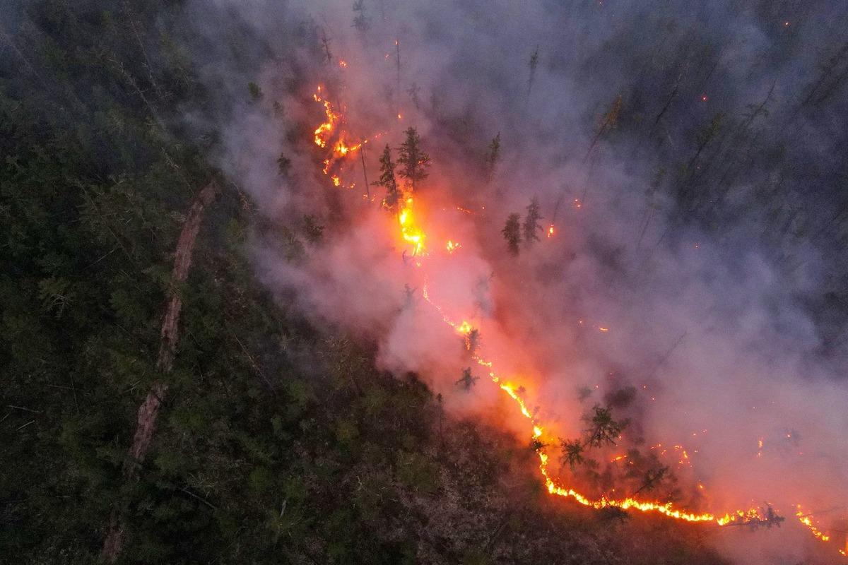 Лесные пожары в Якутии продолжают захватывать все новые районы
