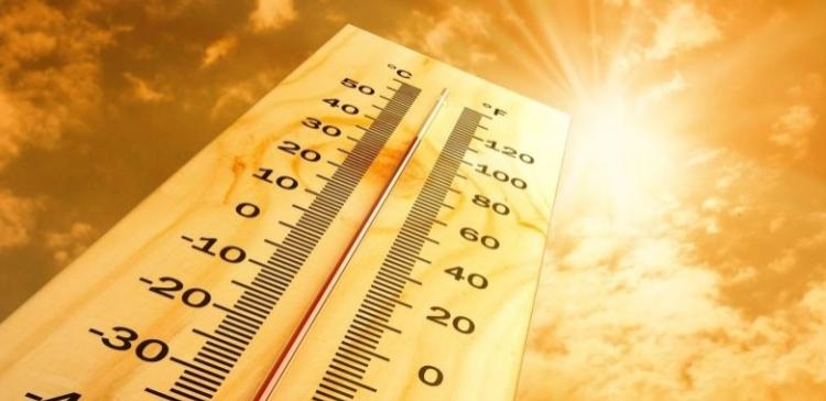 В Воронежской области ожидается 35-градусная жара