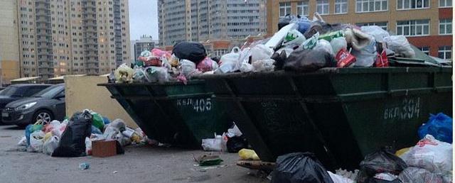 Помойный Петербург: портал Смольного «утонул» в жалобах на неубранный мусор