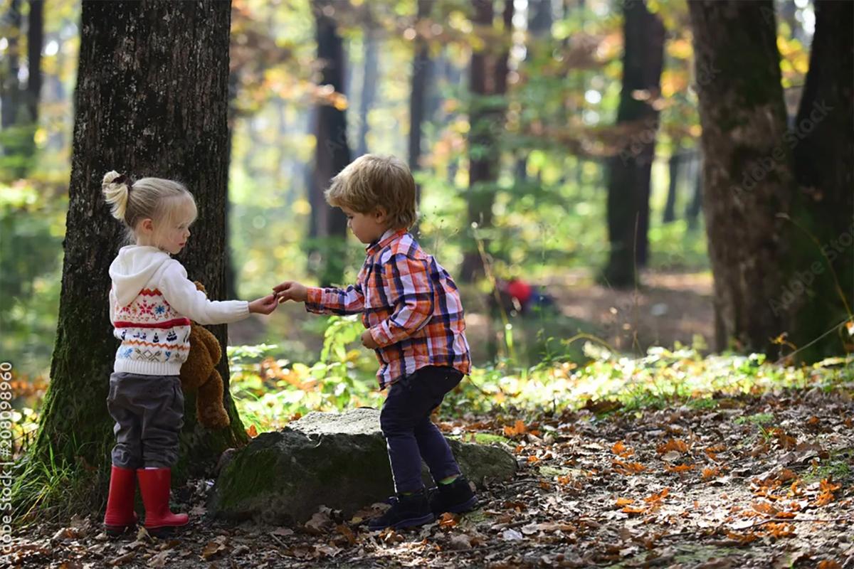 В Канаде решили свернуть поиски двух детей, потерявшихся в лесу