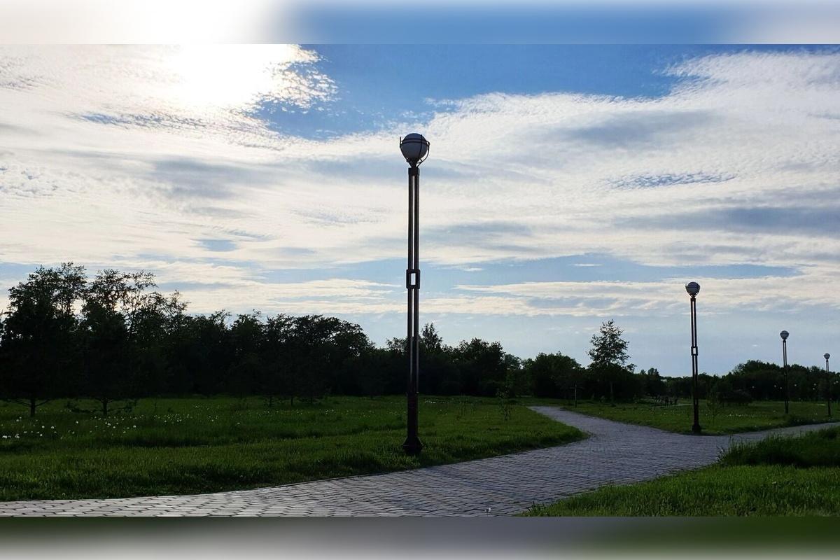 В природном парке Омска «Птичья гавань» планируют установить новую смотровую площадку