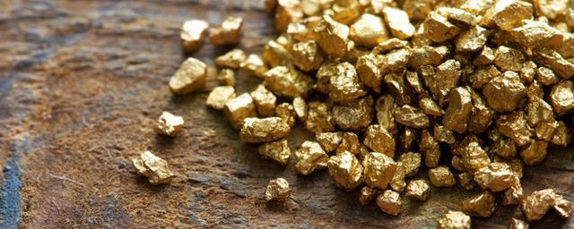 Запасы одного из главных золотых месторождений России оценили в 40 млн унций