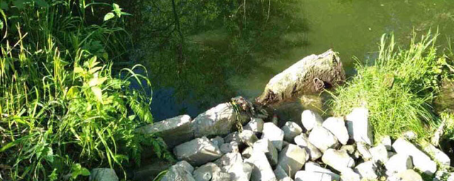 В Кирове русло реки Чахловица оказалось завалено строительным мусором
