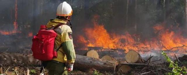 В двух районах Нижегородской области из-за пожара в мордовском заповеднике ввели режим ЧС