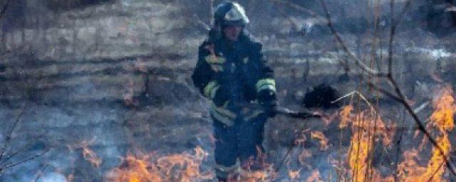 В Бурятии 17 мая зарегистрировали один лесной пожар