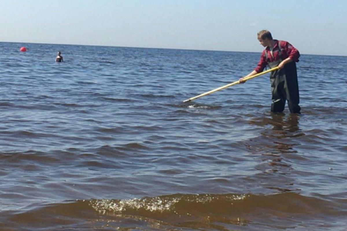 Жителям Ленобласти назвали водоем, где можно купаться без риска для здоровья