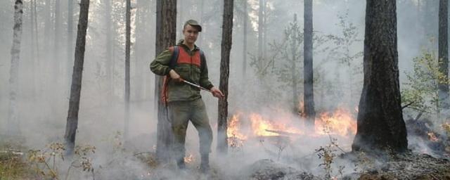 В Тюменской области из-за лесных пожаров ввели режим ЧС