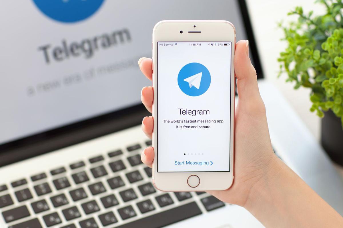 Telegram заблокировал несколько ботов СБУ и ГУР