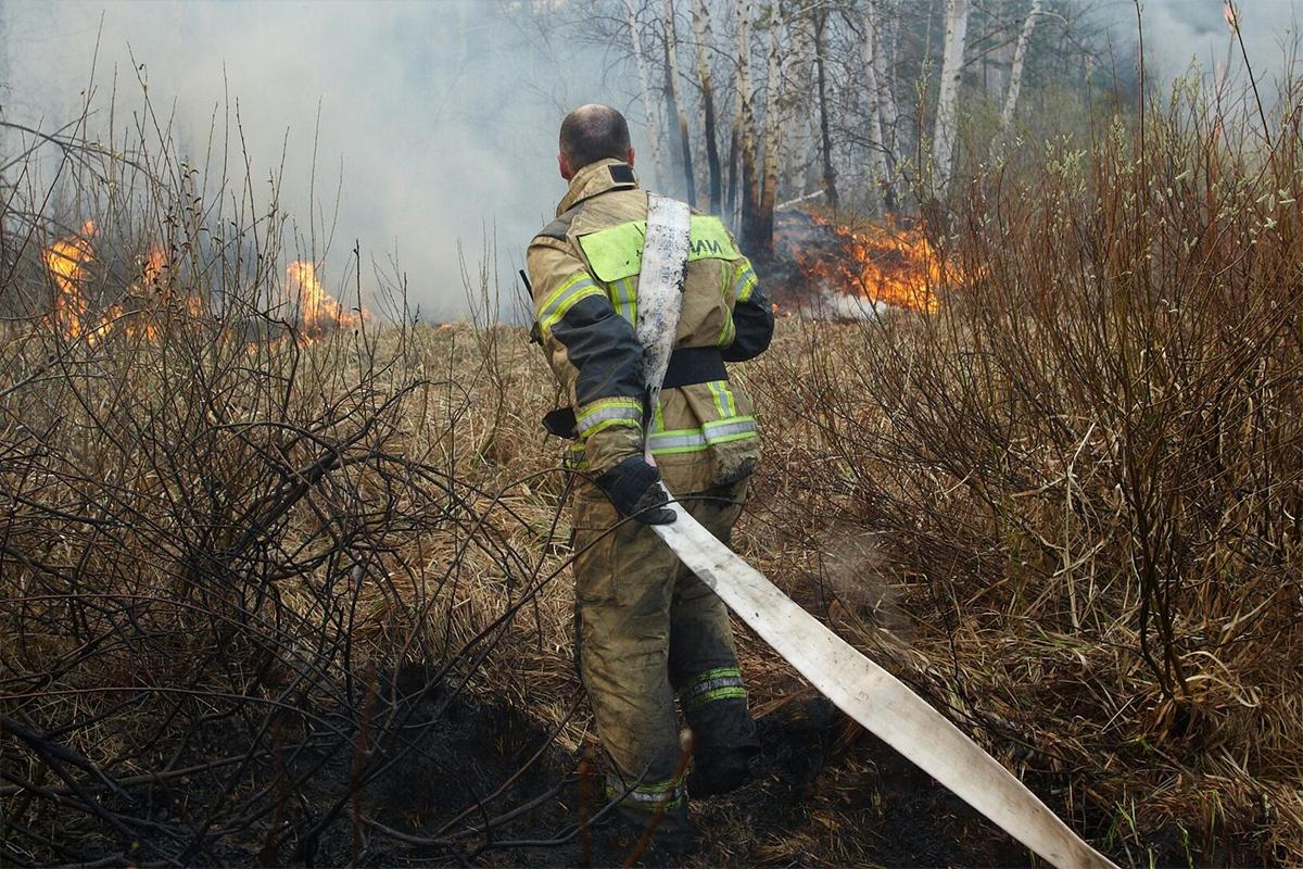 В Новосибирской области 11 апреля стартует пожароопасный сезон