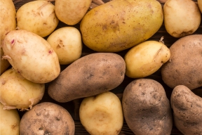 Potatoes became cheaper in Russia over the week