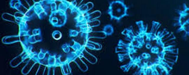 В Магаданской области выявили 22 новых случая коронавируса
