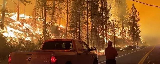 В Калифорнии из-за пожара «Калдор» эвакуировались около 30 тысяч человек