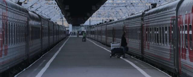 Компании-перевозчики России не планируют менять стоимость проезда в пригородных поездах