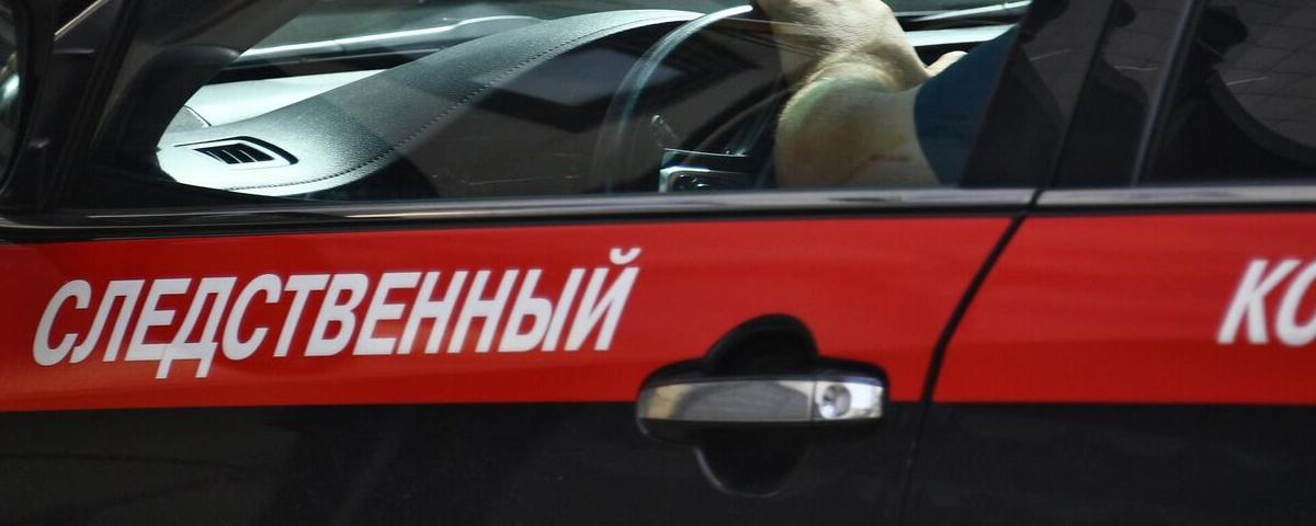 Один из похитителей 8-летней девочки в Козельске был судим за покушение на убийство