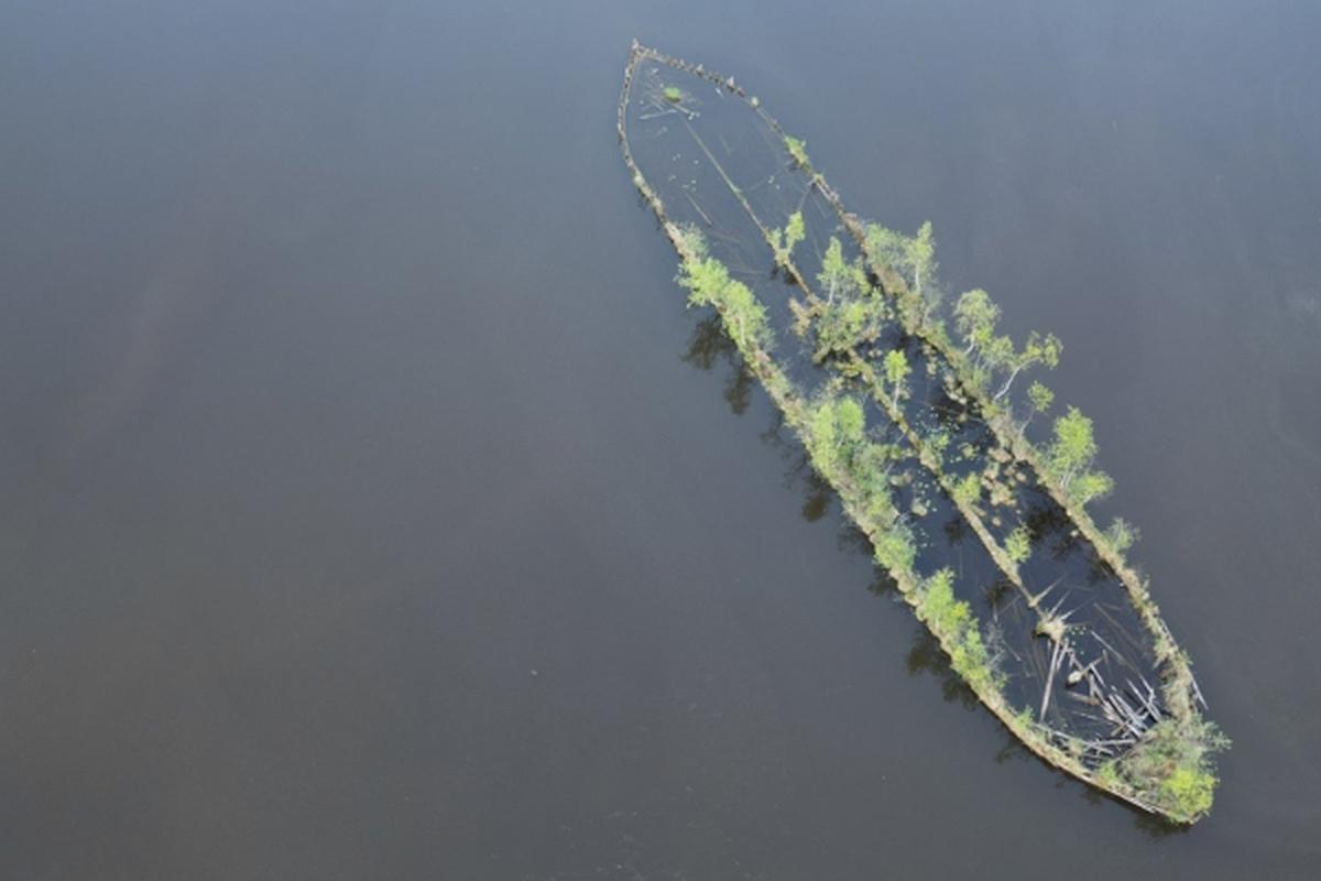 Затонувшие корабли в Карелии превратились в плавучие лесные острова