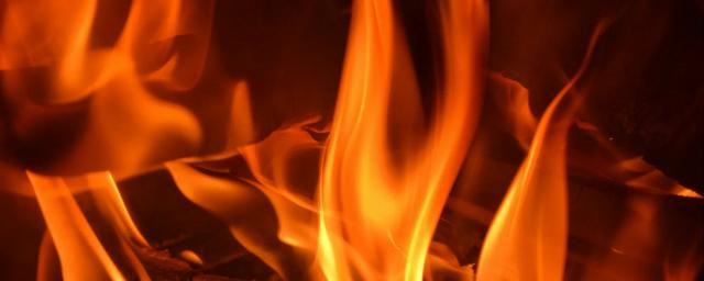 Из горящего дома в Мордовии спасли 7 человек