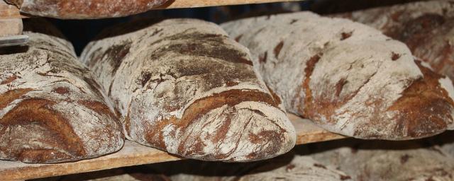 Ученые нашли в хлебе опасные для здоровья добавки