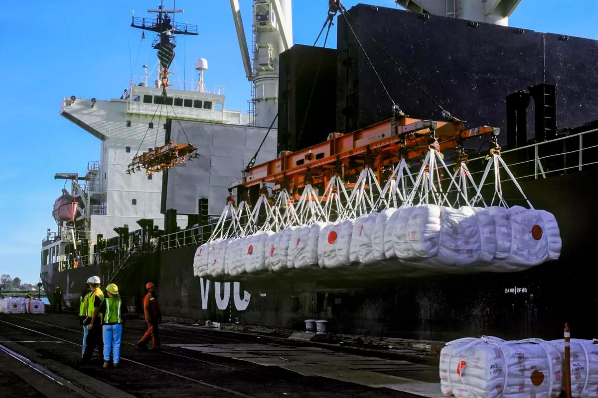 Россия возобновила закупки дикого риса из США с рекордными объёмами за десять лет