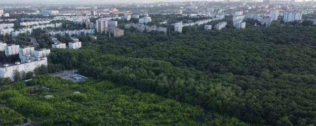 Активисты Самары требуют вернуть участок лесопарка в муниципальную собственность