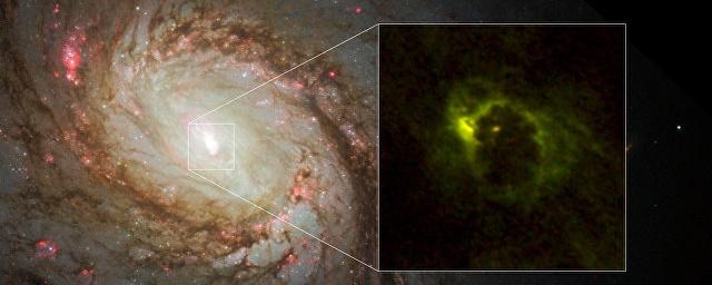 Астрономы получили фото диска аккреции, который поглощает черная дыра