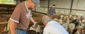 Власти Ингушетии увеличат зарплаты ветеринарам