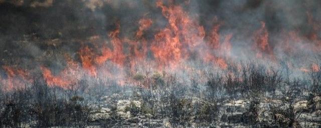 В Магаданской области готовы к природным пожарам и паводкам