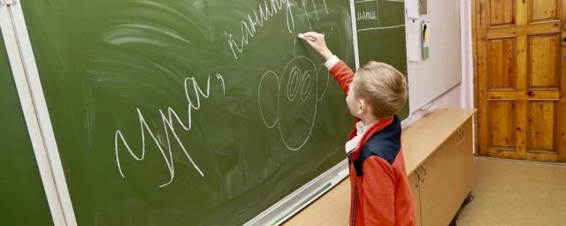 Даты начала школьных каникул летом 2022 года назвали в Новосибирской области