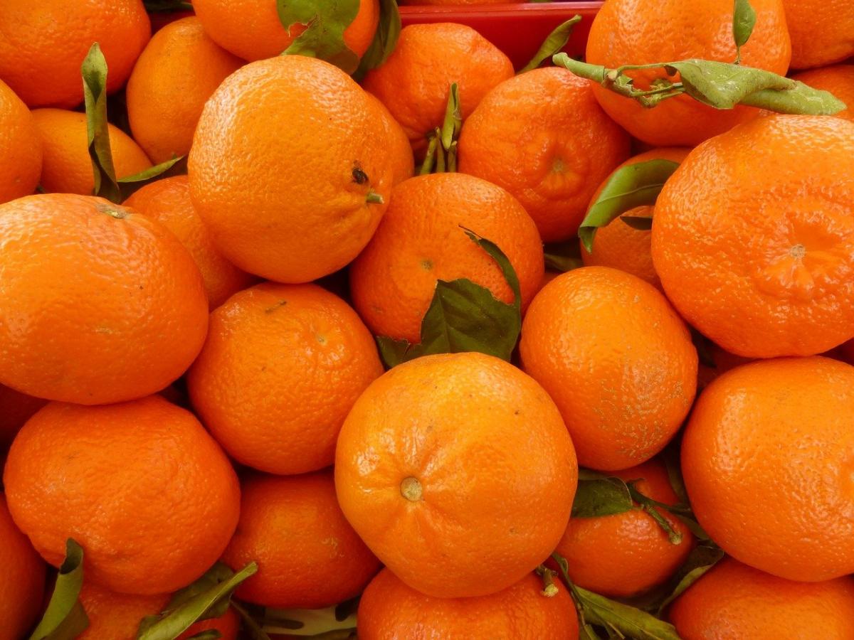 Rospotrebnadzor will suspend import of tangerines from Turkey