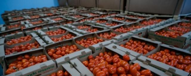 Тепличные хозяйства Волгоградской области вырастили 57 тысяч тонн овощей