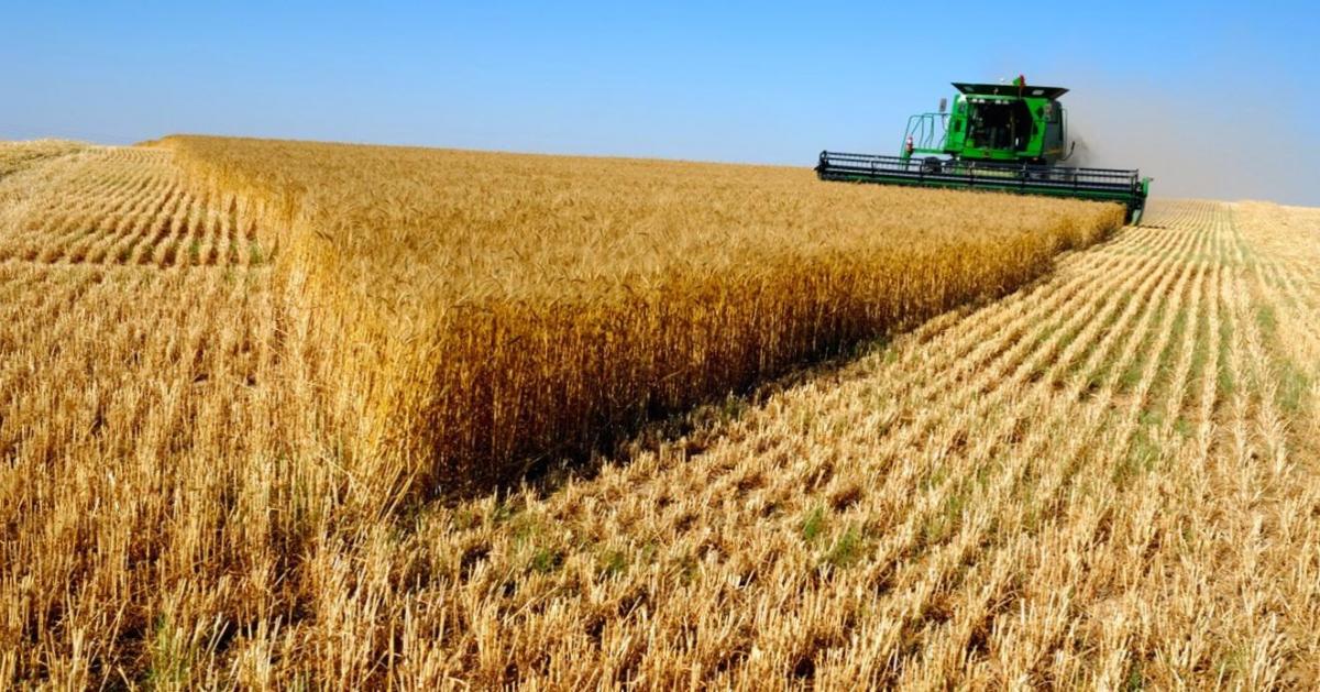 На Урале откроют центр диагностики ГМО в сельхозсырье