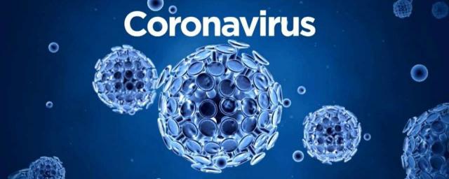 Еще 192 человека в Ярославской области заразились коронавирусом