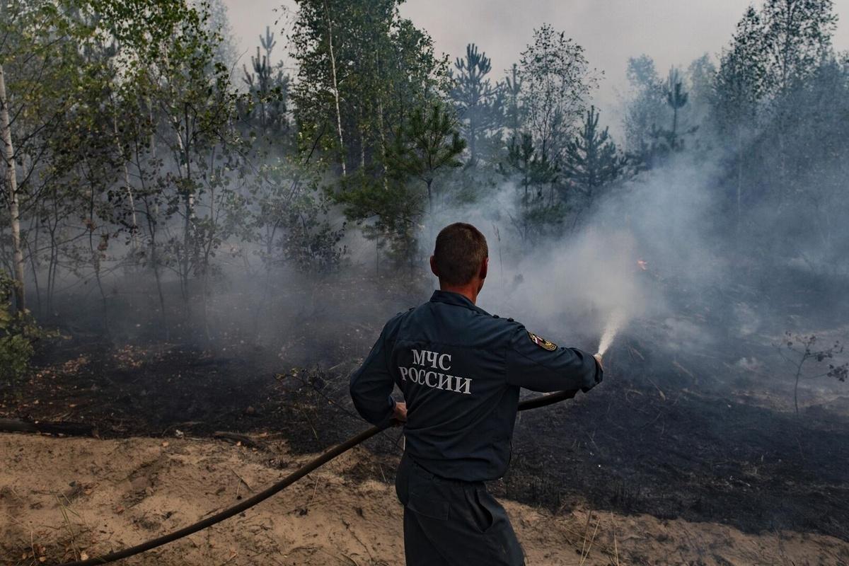 До середины июня в Калужской области запретили посещать леса