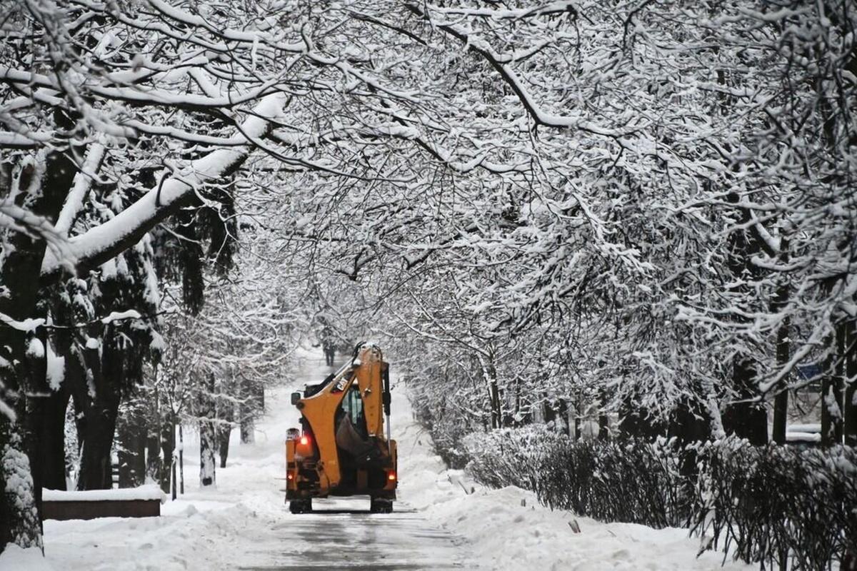Роман Вильфанд призвал готовиться к более холодной зиме