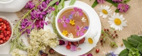 Российские специалисты рассказали о пользе и вреде травяного чая