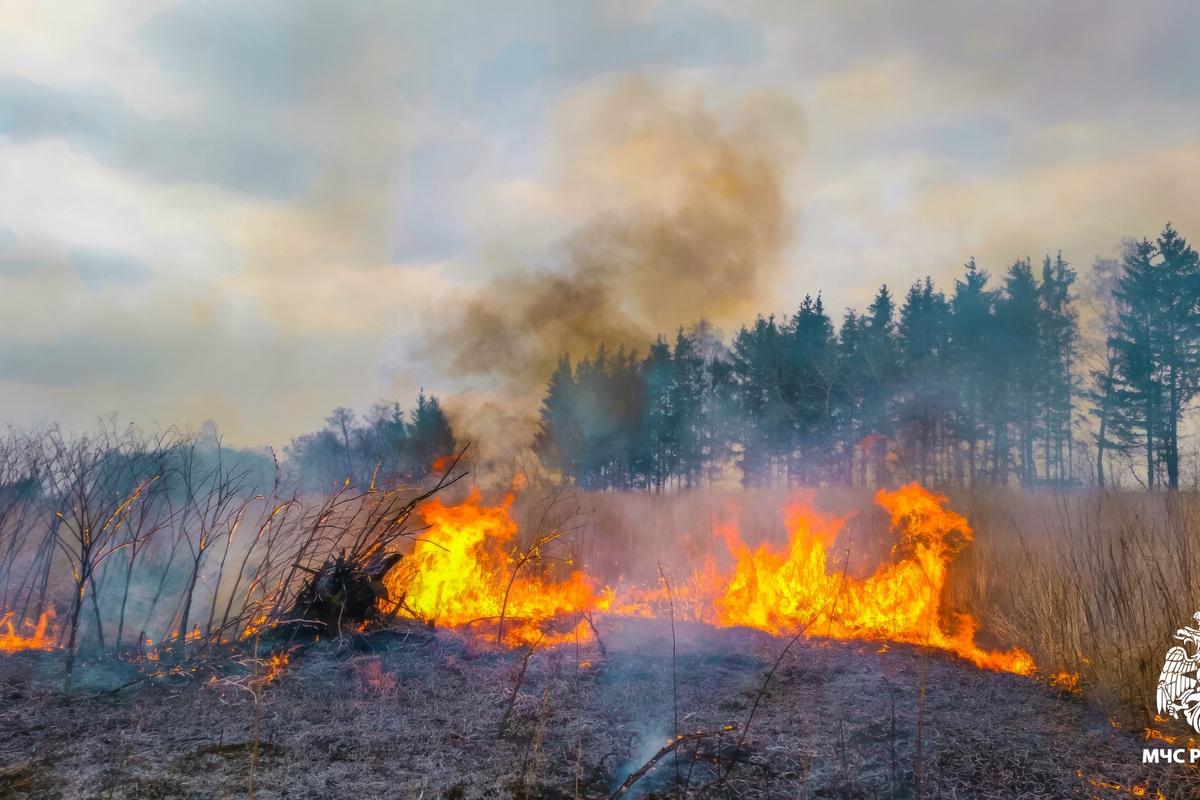 Спасатели напомнили жителям Псковской области об опасности тушения травы