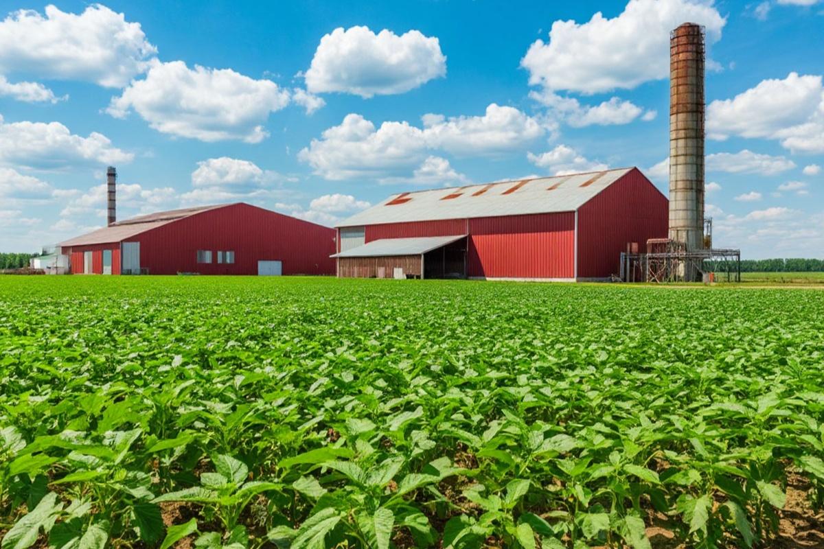 В России утвердили программу повышения престижа аграрных профессий