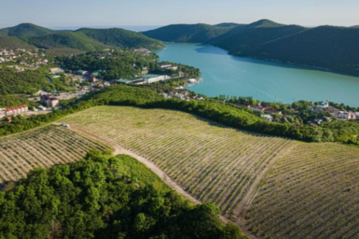 В Краснодарском крае винодельни активно развивают гостиничные комплексы для энотуристов