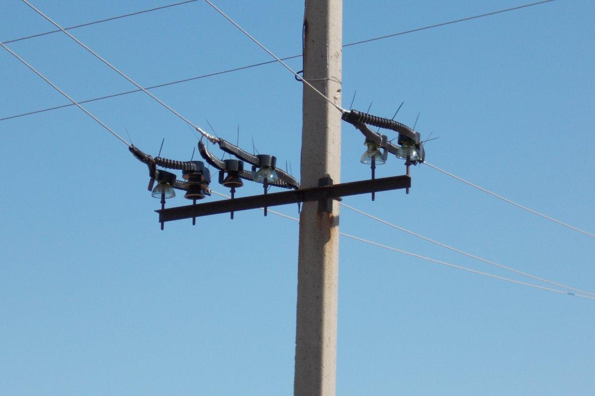 Энергетики Рязанской области планируют установить на опоры ЛЭП 300 птицезащитных устройств