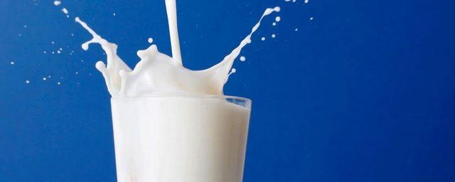 Белоруссия и Россия создадут единый трейдер для поставок молока